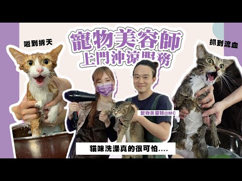 【挑戰/教學】幫膠化索帶沖涼？被抓到流血⋯｜貓洗澡教學｜爆妹Iris